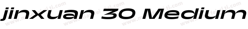 jinxuan 30 Medium B5pc H字体转换